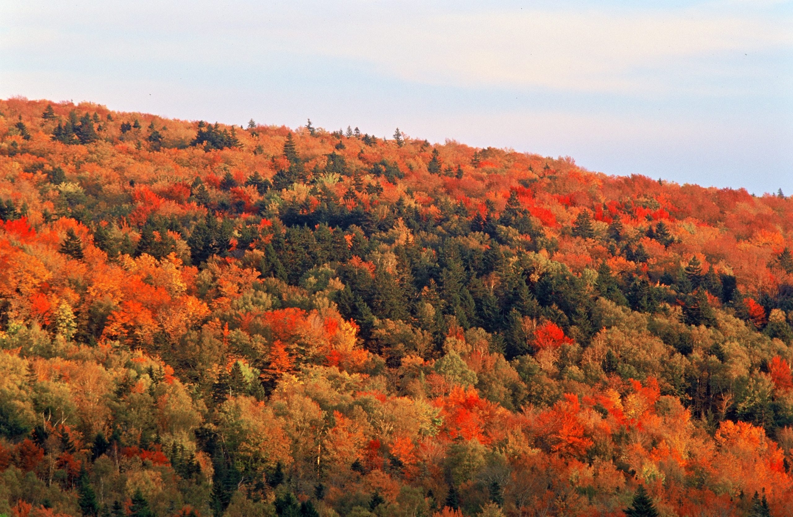 La conservation de la biodiversité - Conseil canadien des