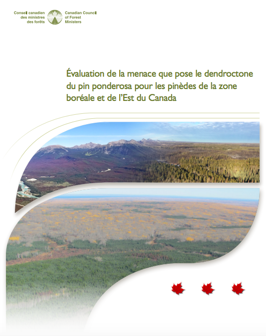Évaluation de la menace que pose le dendroctone du pin ponderosa pour les pinèdes de la zone boréale et de l’Est du Canada (2019)
