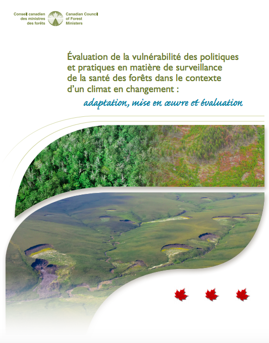 Évaluation de la vulnérabilité des politiques et pratiques en matière de surveillance de la santé des forêts dans le contexte d’un climat en changement : adaptation, mise en œuvre et évaluation (2019)