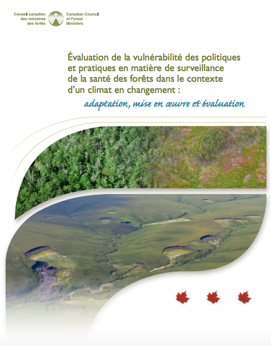 Évaluation de la vulnérabilité des politiques et pratiques en matière de surveillance de la santé des forêts dans le contexte d’un climat en changement : adaptation, mise en œuvre et évaluation (2019)