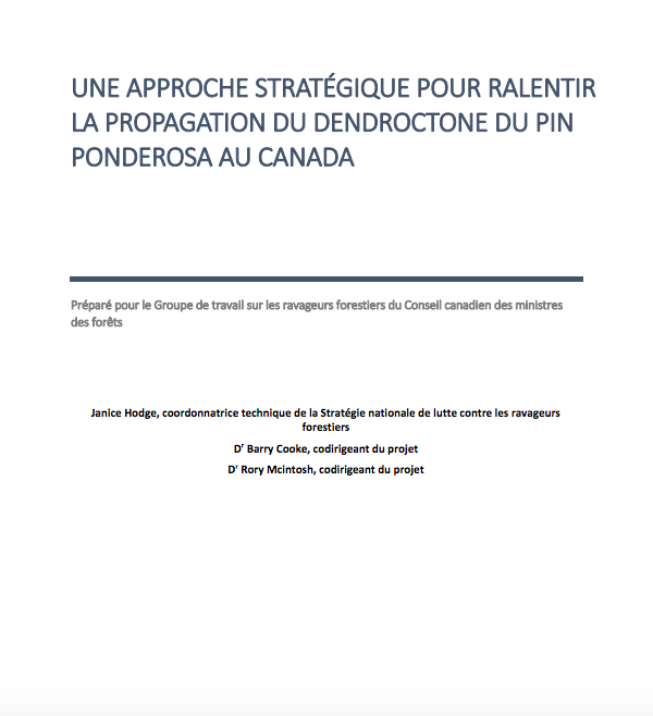 Une approche stratégique pour ralentir la propagation du dendroctone du pin ponderosa à travers le Canada (2017)