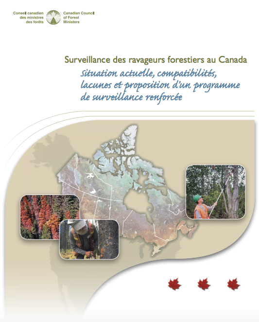 Surveillance des ravageurs forestiers au Canada : Situation actuelle, compatibilités, lacunes et proposition d’un programme de surveillance renforcée