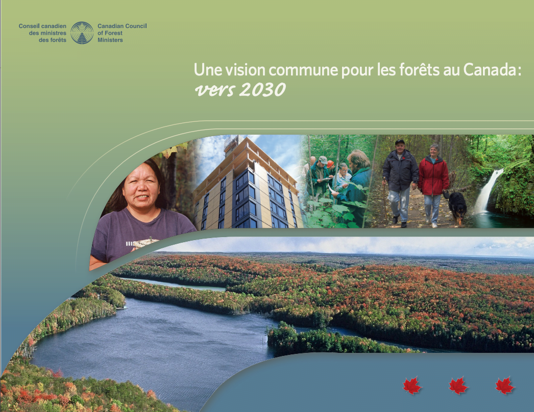 Une vision commune pour les forêts au Canada : vers 2030