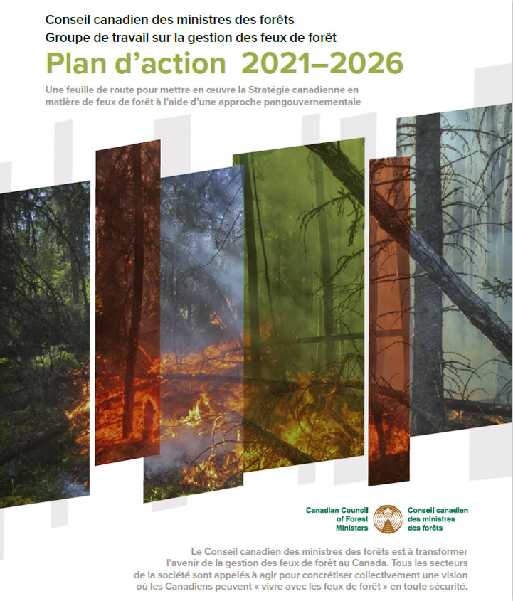 Groupe de travail sur la gestion des feux de forêt – Plan d’action 2021–2026