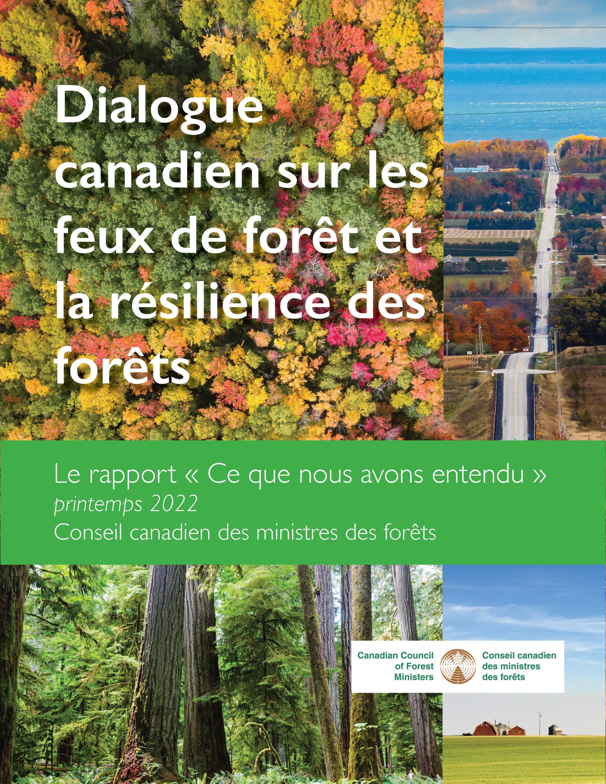 Dialogue canadien sur les feux de forêt et la résilience des forêts : Le rapport « Ce que nous avons entendu », printemps 2022