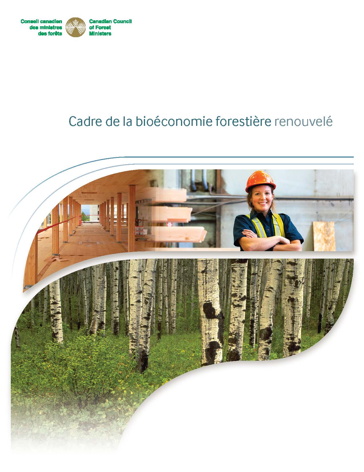 Cadre de la bioéconomie forestière renouvelé